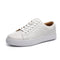 White / 6